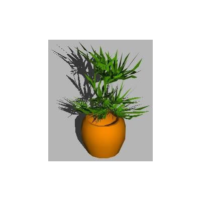 Elegante Planta Tropical