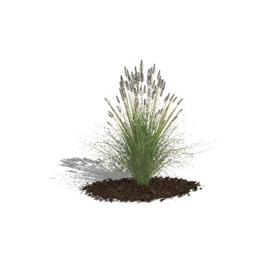 Plantas para jardines 3d - arbustos