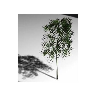3d tree