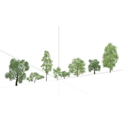 Arboles 3d