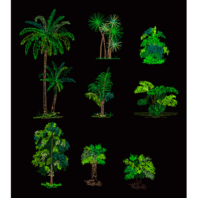 Arboles