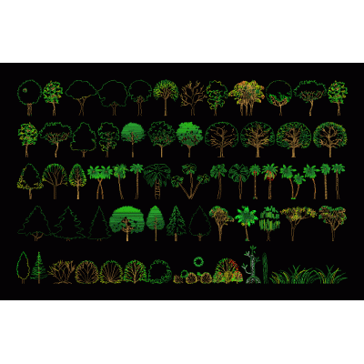 Arboles en alzado