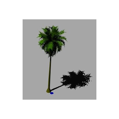 Palmera