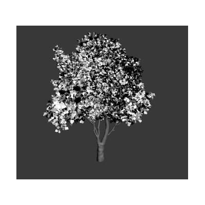 Trees