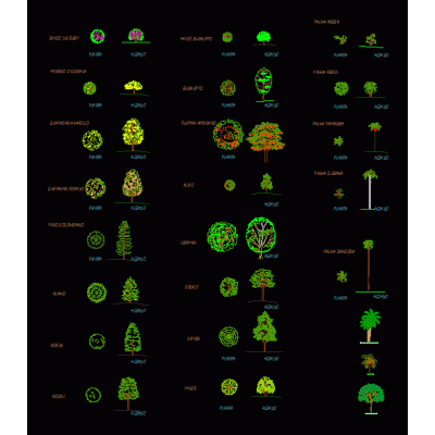 Compendio vegetaci&oacute;n