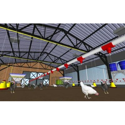 Galpon comedor de gallinas