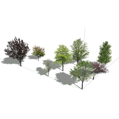 3d trees skp