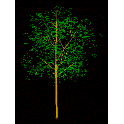 Detailed 3D tree