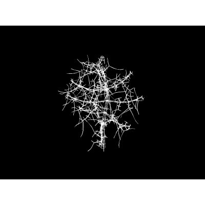 arbol Abstracto en 3D