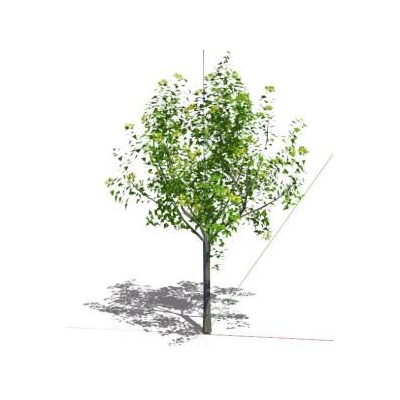 3d tree with textures