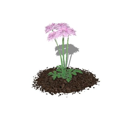 Plantas para jardines 3d - flores