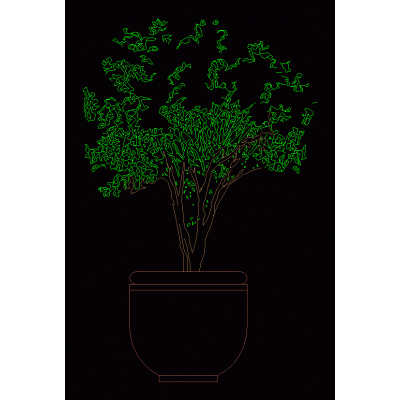 Arbol alzado