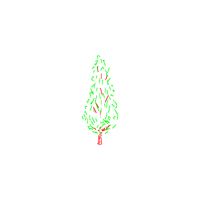 Alzado De Arbol