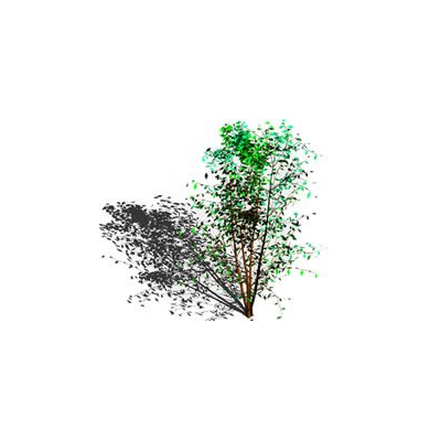 Arbol en 3d