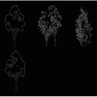 Arboles 2d