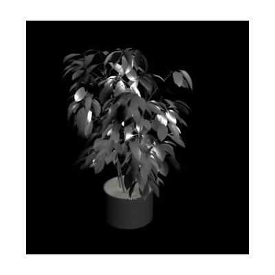 Elegante Planta Interior en 3D