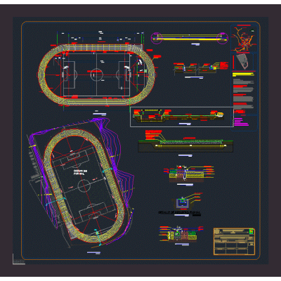 Pista de atletismo .