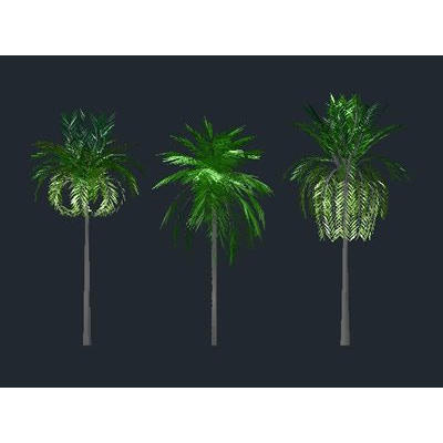 Palmeras 3d con texturas