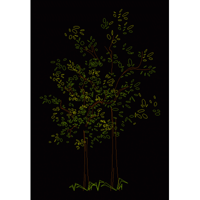 arbol Urbano de Orizaba