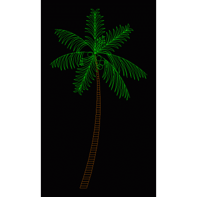 Palmera 03