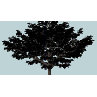 skp trees