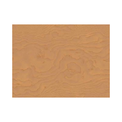 Elegante texture in legno chiaro