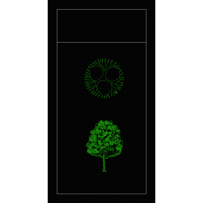 Caoba