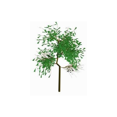 Arbol 3d