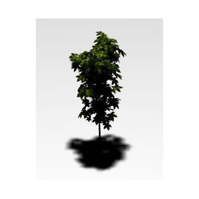 Arbol 3d