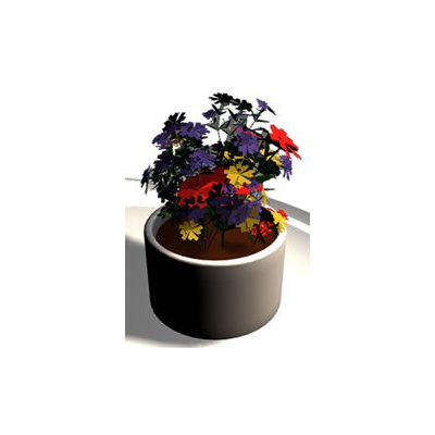 Flores  de interior