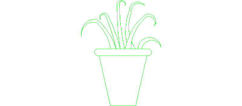 Vista in elevazione della pianta in vaso