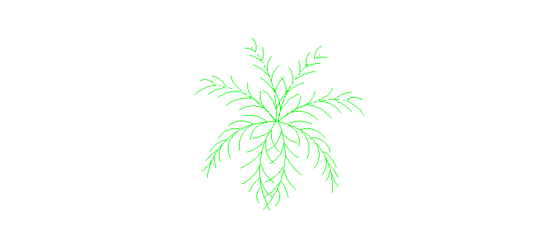 Palm tree, plan view