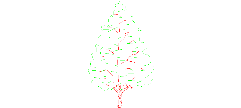 tree in elevation