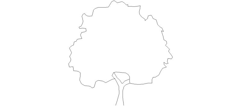 Tree Seen in Elevation, Mod. 4