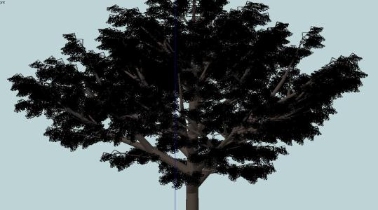 SKP-Bäume