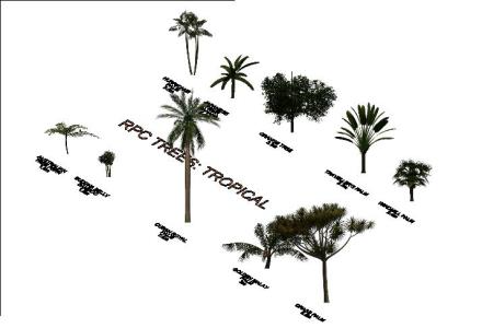 tropische Bäume 3d rvt