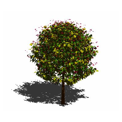Baum in 3D 012