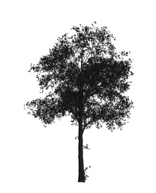 3d max tree