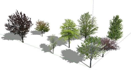 3D-Bäume skp