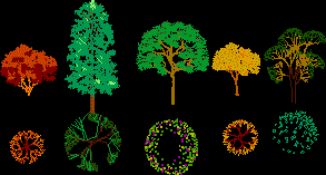 Élévation des arbres et couleurs des plantes