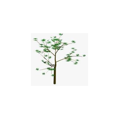 Arbol  3d