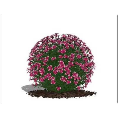 Plantas para jardines 3d de alta definicion