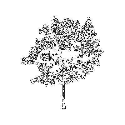 Arbol en alzado