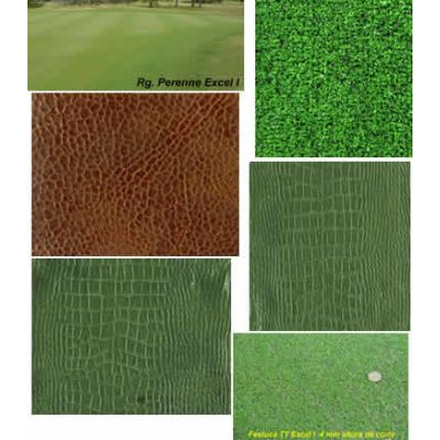 Variedad de Texturas de Cesped