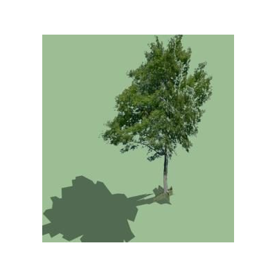Arbol 3d