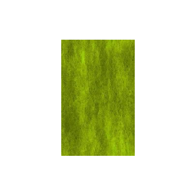 Cesped