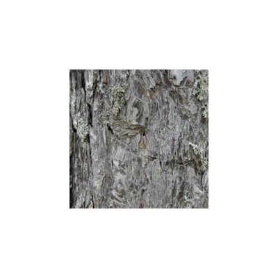 venatura naturale del legno