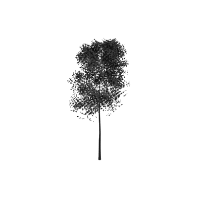 Aspen