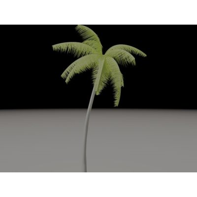 Palmera para exterior