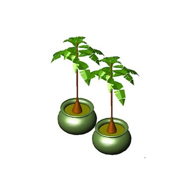 Palma 3d